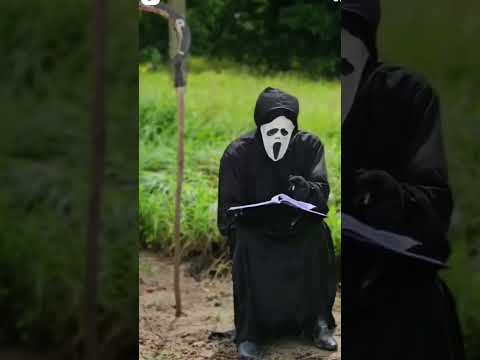 o amostradinho:  vou logo fazer sua passagem kk #humor #viral