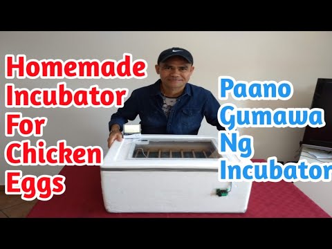 DIY- HOW TO MAKE A HOMEMADE EGG INCUBATOR| FOR CHICKEN EGGS(STEP BY STEP) PAANO GUMAWA NG INCUBATOR.
