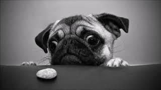 Alex Coulton - For FACT -