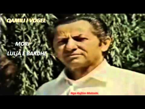 QAMILI I VOGEL - MORI  LULJA  E  BARDHE.