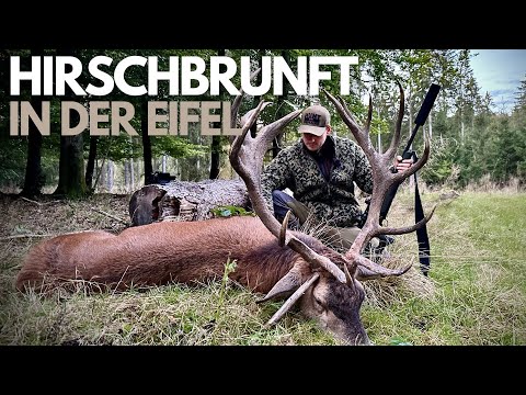 Hirschbrunft in der Eifel - Der Traum vom 1er Hirsch