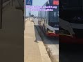 12 Es Bari Busz Bus Italy Bariitaly