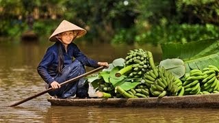 Mekong delta, Trip to Mekong delta, rural life in Mekong delta, Mekong delta 2014