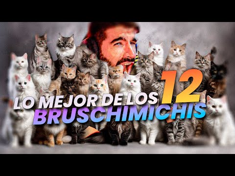 LO MEJOR DE LOS BRUSCHIMICHIS 12 - PABLO BRUSCHI