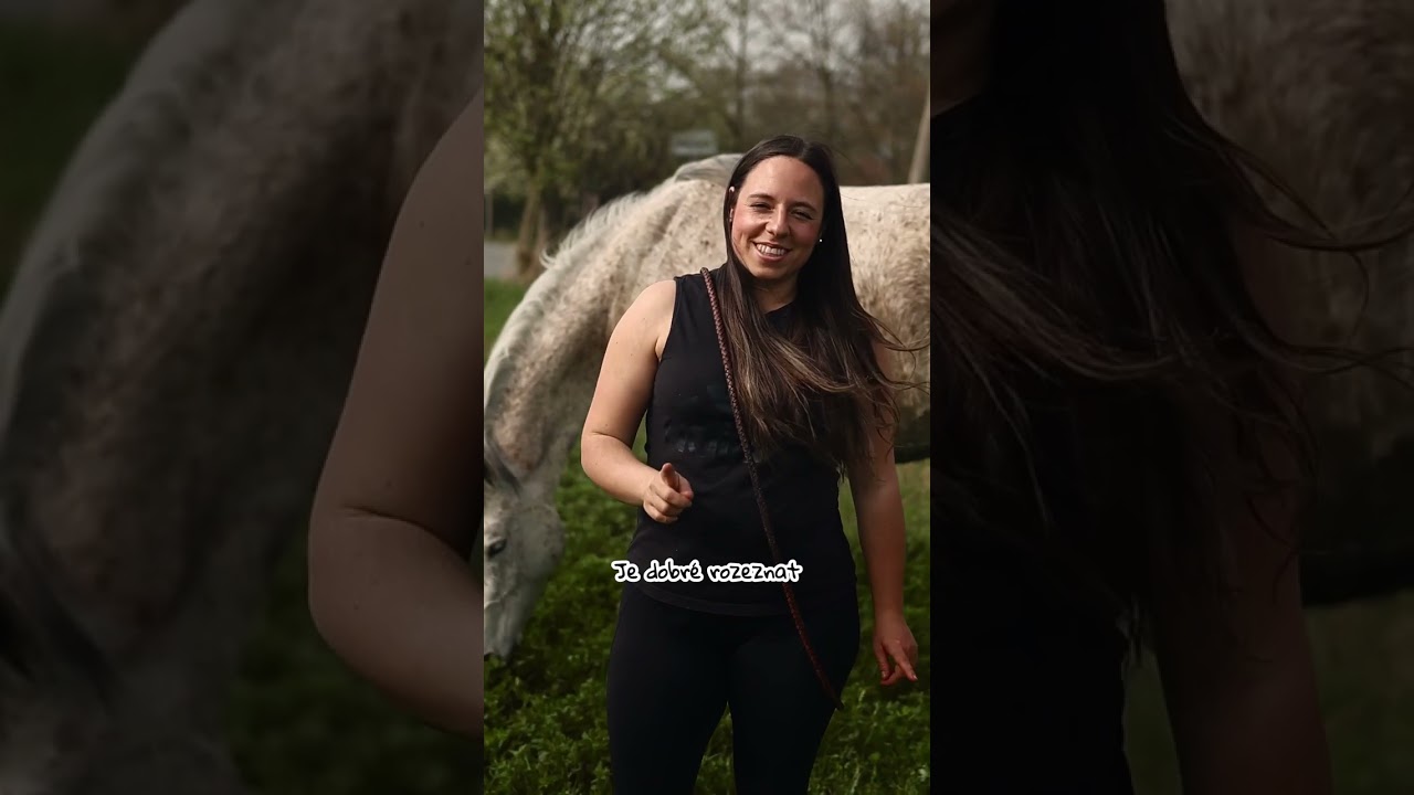 Jak odnaučit koně tahání za trávou?