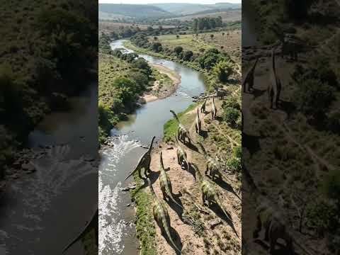 Uberabatitan MG: Gigante herbívoro brasileiro descoberto em Minas Gerais.