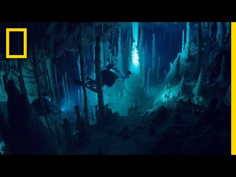 Thumbnail of the video: "There's an Alien World Beneath Our Feet" (Ep.4)