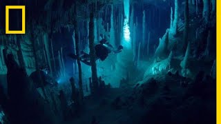 There&#39;s an Alien World Beneath Our Feet | One Strange Rock