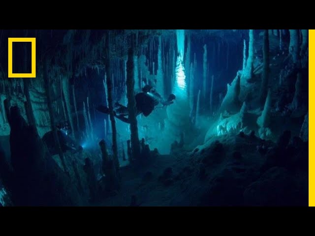 "There's an Alien World Beneath Our Feet" (Ep.4)