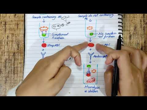 Complement fixation test explained | Principle | Diagram | Flowchart | #medicology