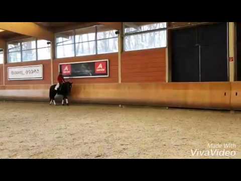 Vitalis - Danny de vito