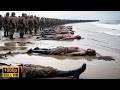 Dunkirk Film Penuh Penuh Aksi Dengan Subtitle Indonesia