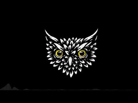 Armageddon Project @ Dominator Festival 25-07-2009