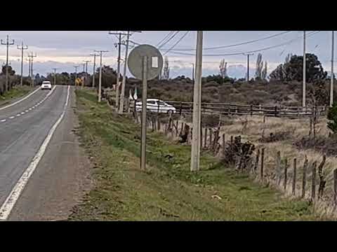 VENTA DE TERRENO EN SAN NICOLAS , cerca de San Carlos, Provincia de Ñuble, Región del Biobío.