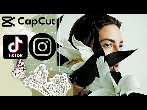 Photo Cutout Animation | How To (TikTok Trend & Instagram Reels)