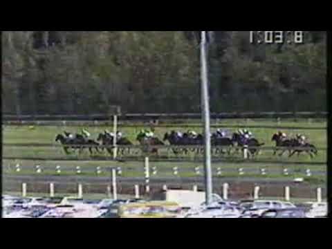 1991 Caulfield Cup - Let's Elope