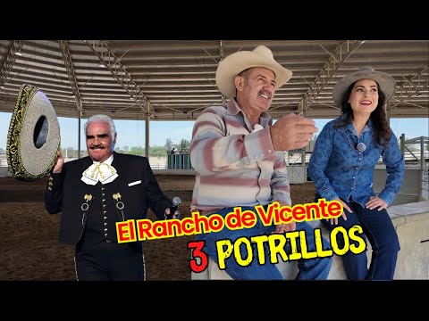 Vicente Fernández and his three colts | Alma Coronel