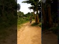 Fuck Me Hard Letest Nollywood Movies