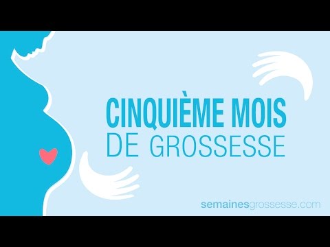 Cinquième mois de grossesse - La grossesse mois par mois