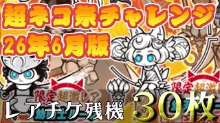 【にゃんこ大戦争】超激レアとかまったく興味がない　超ネコ祭チャレンジ26年6月版