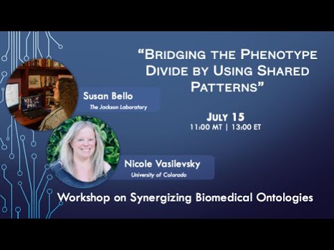 WSBO2021: Bridging the Phenotype Divide by Using Shared Patterns