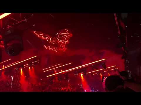 Artbat @ Tomorrowland 2022 WK1 Return to Oz