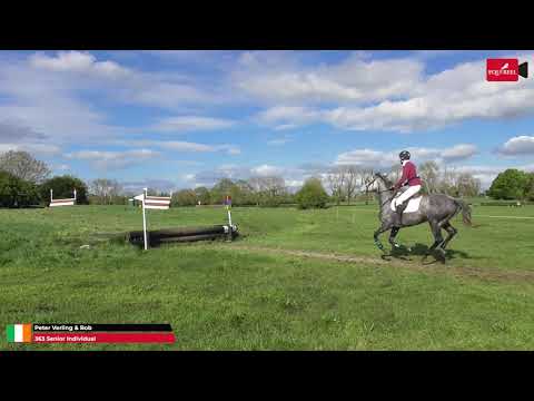 Eventer / riding horse - Image 2