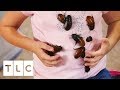The Girl Who Collects Cockroaches | My Kid's Obsession The Girl Who Collects Cockroaches | My Kid's Obsession