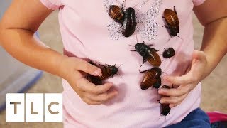 The Girl Who Collects Cockroaches | My Kid&#39;s Obsession