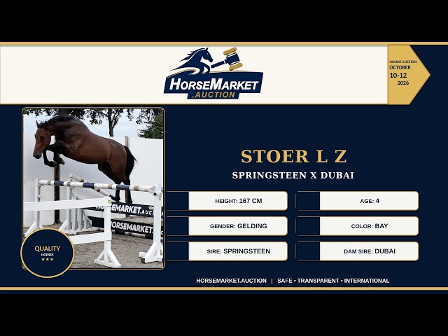 Stoer L Z