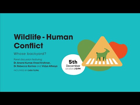 Wildlife Human Conflict. Whose backyard?