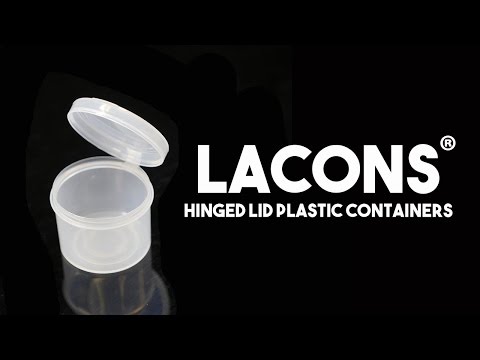 Hinged lid plastic containers