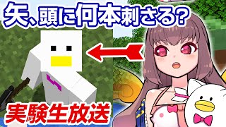 🔴【Vtuber】マイクラで頭に何本矢が刺さるか実験してみる生放送！【ゲーム実況】