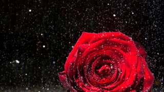 You and Me Both by The Classic Crime