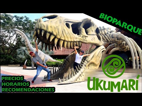 UKUMARI Biopark 🐘 Pereira, Colombia 🇨🇴 Prices 💲 Hours ⏰ Recommendations
