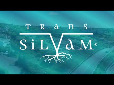 Otevřeme dějiny všem. Podpořte vznik spolku Trans Silvam, z.s.