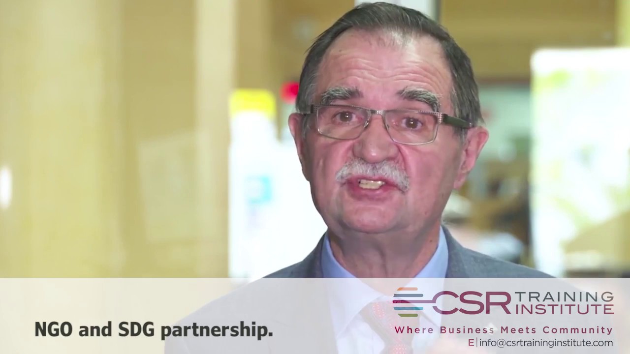 NGOs and SDG partnership