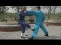Shaolin Kung Fu: 20 fight techniques