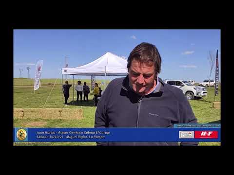 Entrevista a Juan Garcia, asesor genético de Cabaña El Cortijo