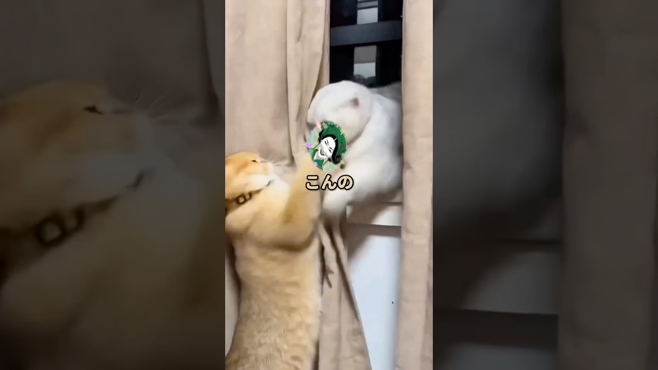 【スカッと】「１人１点限りとか意味ない！ｗ」分身した泥ママはそのまま転売しようとするが…ｗ