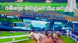 Download lagu Fuji Safari Park Japan Vlog 🌸 | Summer Vacation life with Jaana (Sinhala Vlog)|life in japan mp3