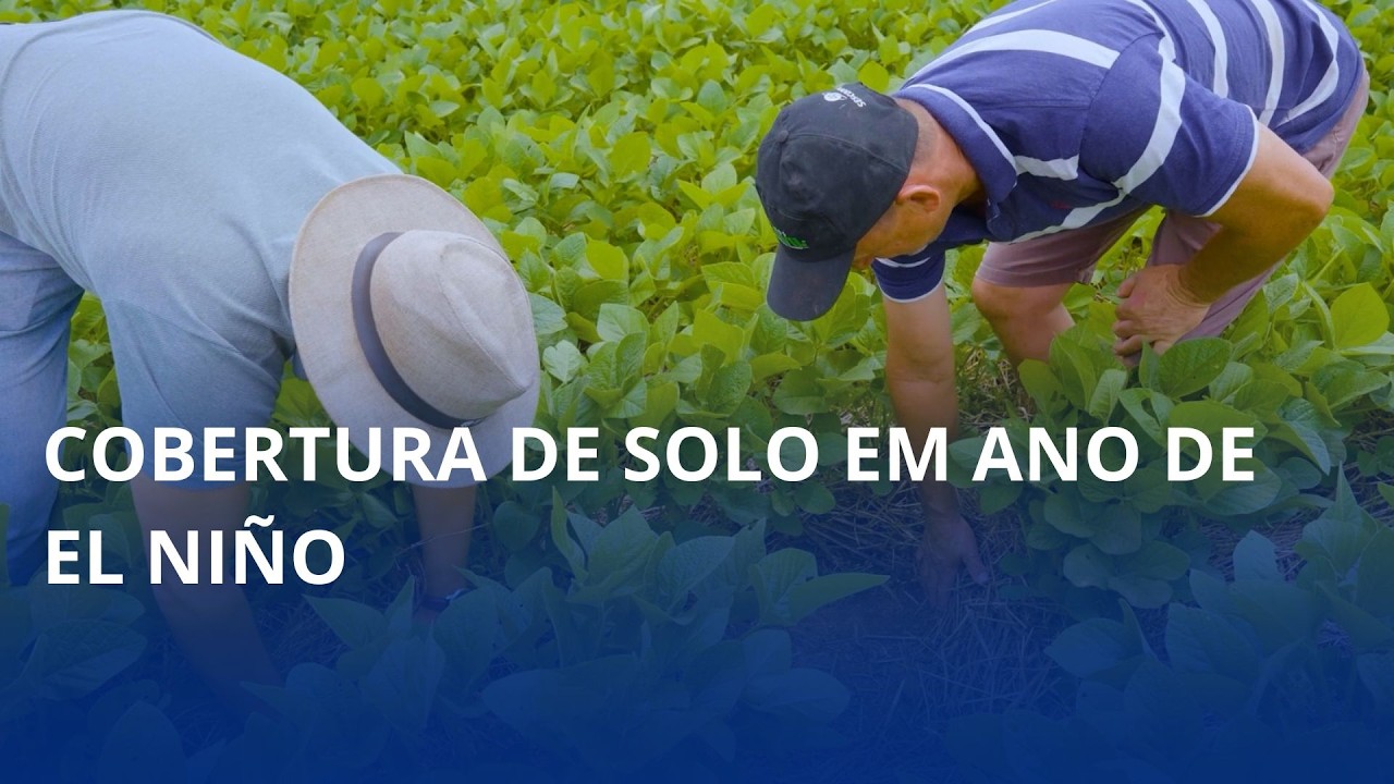 🌧️ El Niño exige atenção redobrada no campo