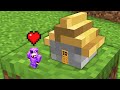 Minecraft But Your Hearts Size