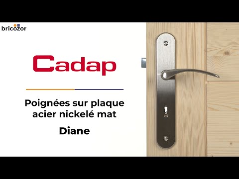 Poignées de porte sur grandes plaques - acier nickelé mat - Diane CADAP