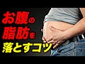 【筋トレ】お腹の脂肪を落とすコツ | ボディビルチャンピオンが解説【ビーレジェンド プロテイン】