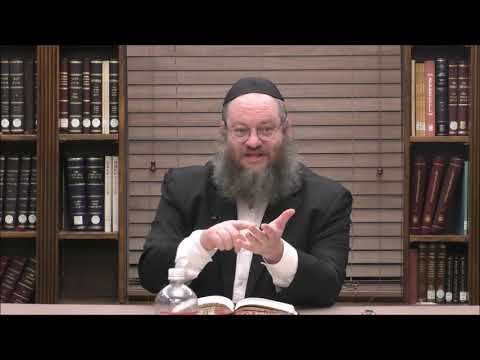 Shaar Hayichud Vehaemunah Chapter 8 Part 2 - Rabbi Naftali Silberberg