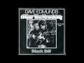 Dave Edmunds - Never Take The Place Of You