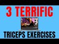 💪3 TERRIFIC TRICEPS EXERCISES! | BJ Gaddour Workout Fitness Home Gym Muscle Gain Bodybuilding