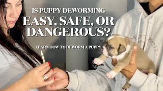 Is Deworming A Dog Dangerous? | How To Deworm A Puppy? | Worms in Dogs | Parasites in Puppies | DIY