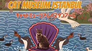 Kedi şehir İstanbul’da kedi müze’ye gidelim! 猫の街イスタンブールでキャットミュージアムへ！